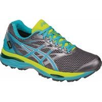 Asics Gel-Cumulus 18 GTX Road Running Shoe - Women's