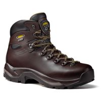 Asolo TPS 520 GV Backpacking Boot - Men's-Chestnut-Medium-11.5 US