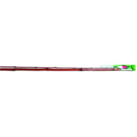 BNM Fishing TL Rigged 2 Piece Cane Pole