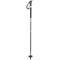 Backcountry Access Scepter 115 Poles