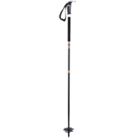 Backcountry Access Scepter Fixed Length Poles