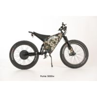 Bakcou Puma 5000w