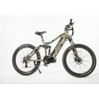 Bakcou Storm 750w Electric Bicycles