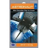 Backpackers Pantry Mint Chocolate Chip Ice Cream - Single Serving