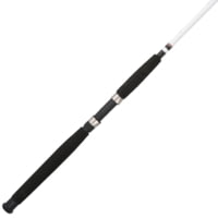 Berkley Big Game Spinning Rod