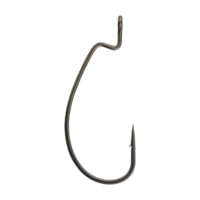 Berkley Fusion19 Superline EWG Hooks