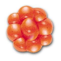 Berkley PowerBait Trout Bait (Type: Non-Glitter / Salmon Peach / Natural Scent Salmon Eggs - Foto 5
