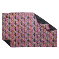 Big Agnes Why Not Picnic Blanket