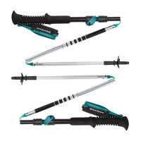 Black Diamond Distance FLZ Trekking Poles - Women's