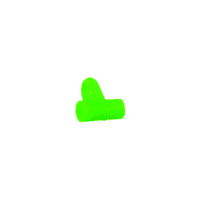 Name