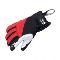 C.A.M.P. G Hot Dry Insulated Gloves - Mens