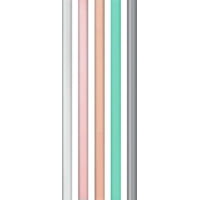 CamelBak Reusable Straw Set