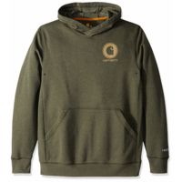 Carhartt Force Delmont Graphic Hooded Sweatshirt - Men's