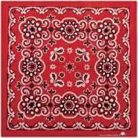 Carolina Manufacturing Texas Paisley Bandana