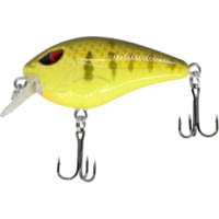 CHUBBS Shallow Square Bill