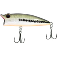 CHUBBS Topwater Popper