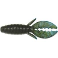 Culprit Water Beetle