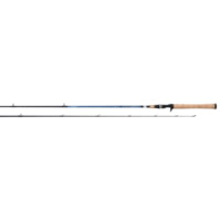 Daiwa Aird Coastal Inshore Casting Rod