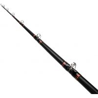 Daiwa Beefstick BT Saltwater Boat Rod