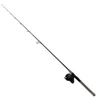 Daiwa BG 3000 Spinning Rod and Reel Combo