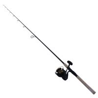 Daiwa BG 4000 Spinning Rod and Reel Combo