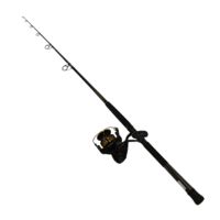 Daiwa BG 6500 Spinning Rod and Reel Combo