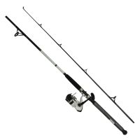 Daiwa D-Wave Saltwater Rod and Reel Combo - 1BB