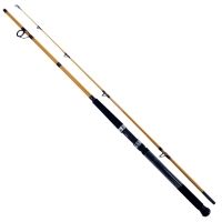 Daiwa FT Surf Spinning Rod