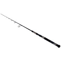 Daiwa Proteus Inshore 1pc LnWt 30-55 BRAID PRIN70HFS