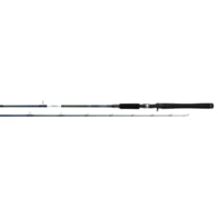 Daiwa RG Walleye Conventional Rod