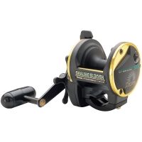 Daiwa Sealine SW 20sz 6.1:1 4BB SL20SH