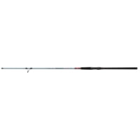 Daiwa TD Surf Spinning Rod