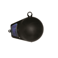 Name