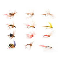 Danielson Trout Fly Assortment