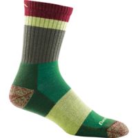 Darn Tough Heady Stripe Micro Crew Light Cushion Sock - Mens