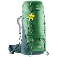 Deuter Aircontact 60 + 10 SL Backpack - Women's