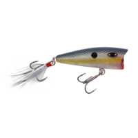 Duckett Fishing BD 60P Popper