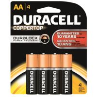 Duracell Coppertop AA Batteries
