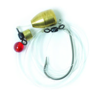 Eagle Claw Carolina Rig w/1/2oz Brass Weight