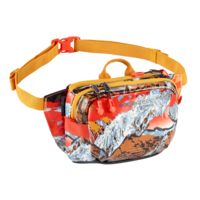 Eagle Creek Wayfinder Waist Packs