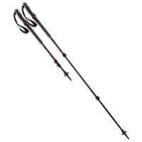 Easton ESS Trekking Poles CTR 70 Ion