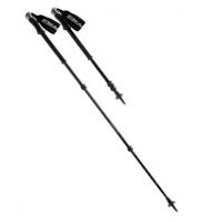 Echo Carbon 6wt 9'