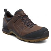 ECCO BIOM Terrain Lo GTX Hiking Boot - Men's