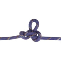 Edelweiss 10mm Power Purple Unicore Everdry Dynamic Rope