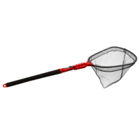 Name