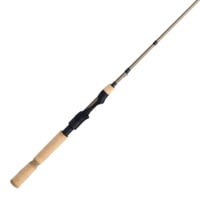 Fenwick HMG Spinning Rod