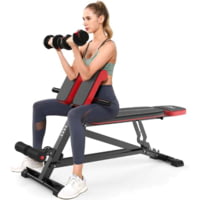 Flybird Fitness Multi Function Roman Chair