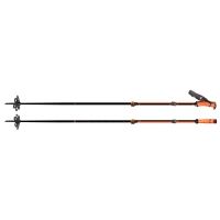 G3 VIA Ski Poles