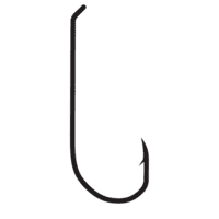 Name