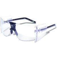 Gargoyles 85s Sunglasses